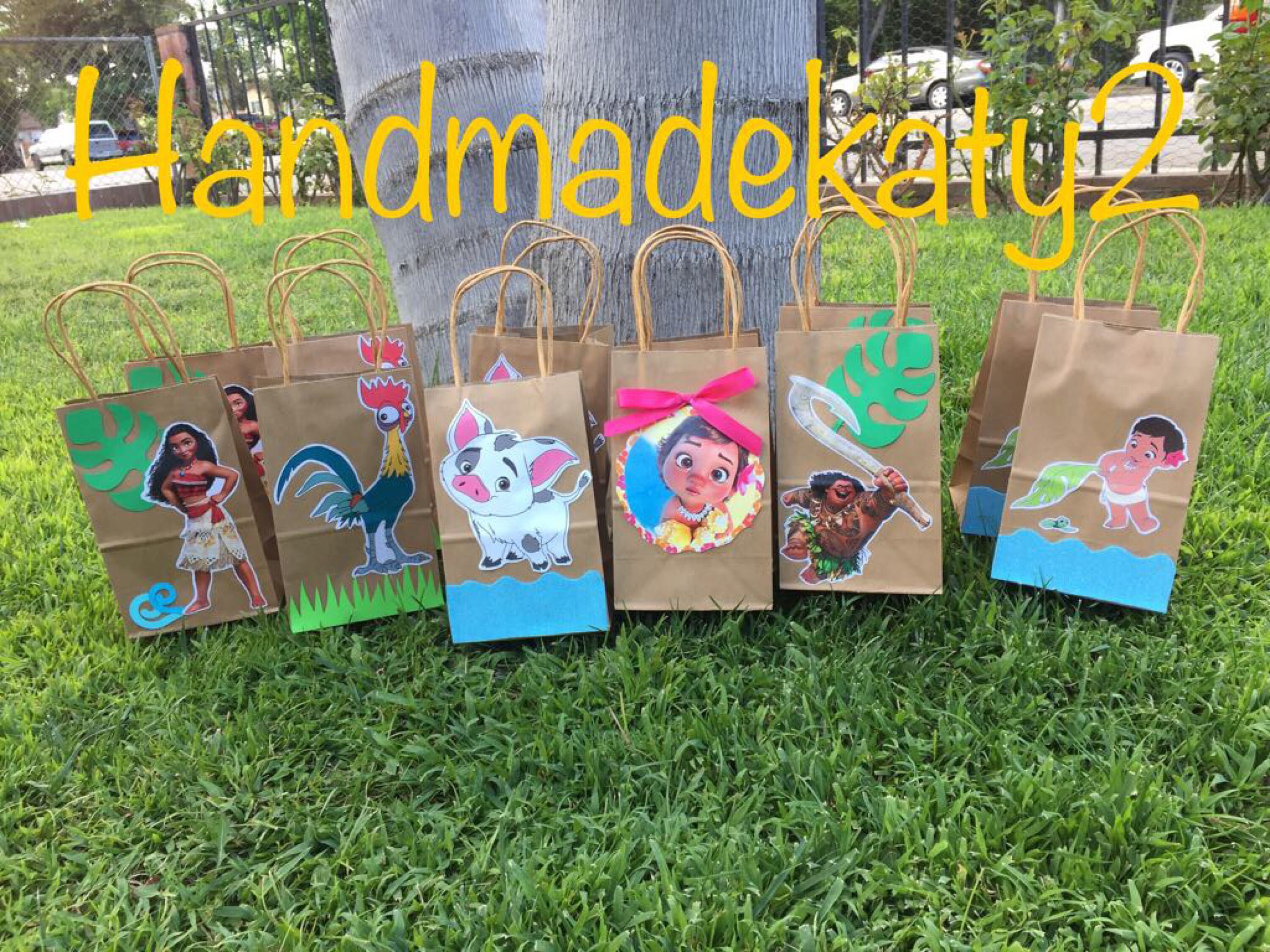 Moana Goody bags or Party Favor Bags 12 pieces. Etsy