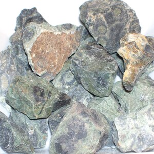 Kambaba Crocodile Jasper Crystal Raw - Calming Balancing Stones - Heart Chakra - Protection - Prosperity - Grounding