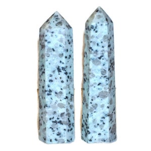 May include: Two light blue and gray speckled crystal obelisks. The obelisks are tall, with a pointed top and a faceted, rectangular body. The crystals have a speckled pattern of gray and black throughout.