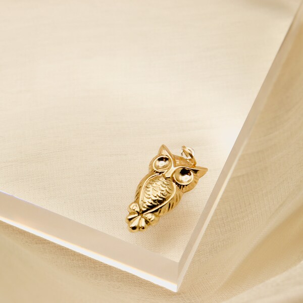 14K Solid Gold Owl Charm Lucky Charm Pendant - Perfect For Necklaces , Bracelets Adding To Any Jewelry Piece