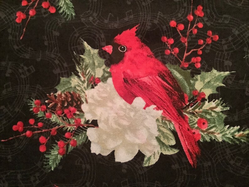 Ready to Ship Cardinals /& Ribbons Cross Stitch Needlework Vinyl Front Project Bag