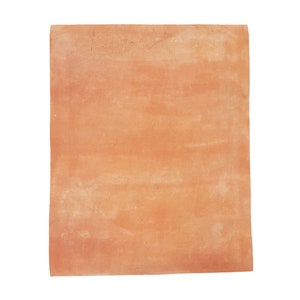 Pode incluir: Um azulejo de terracota com uma superf&iacute;cie lisa e ligeiramente texturizada. O azulejo &eacute; de cor laranja claro com varia&ccedil;&otilde;es subtis de tonalidade.