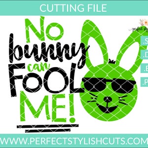 Puede incluir: Un conejo verde con gafas de sol y el texto "No bunny can fool me!" en negro.