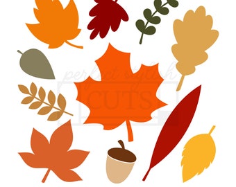 Fall Leaves SVG, PNG, Cut Files For Cricut, Fall Clipart, Fall Glowforge Shapes, Fall Leaf Svg, Autumn Leaves Svg