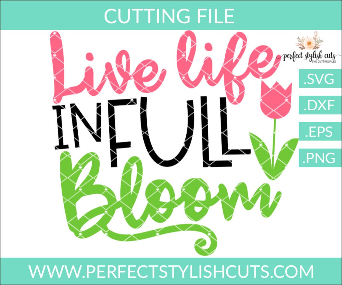 Live Life in Full Bloom Svg, Spring SVG, DXF, EPS, Garden Svg, Flowers ...