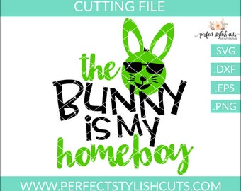 The Bunny Is My Homeboy Svg, Easter SVG, Easter DXF, EPS, Png, Easter Bunny Svg, Boy Easter Svg, Easter Shirt Svg, Cricut Designs