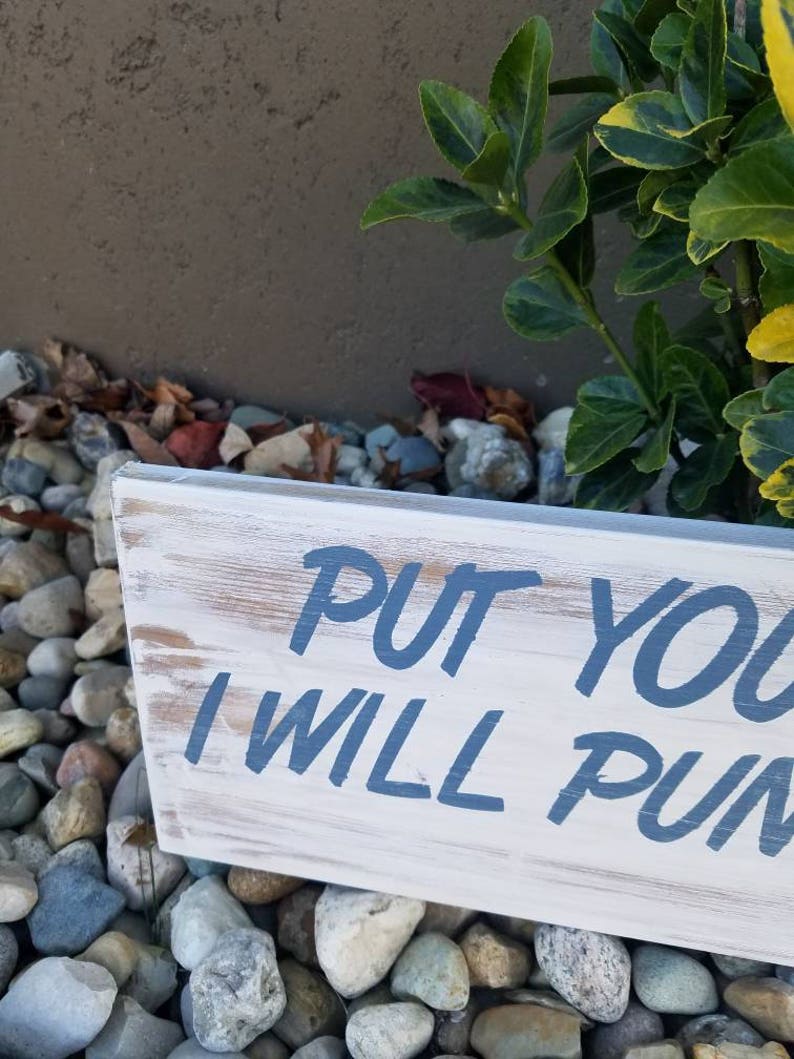 Pu&ograve; includere: Un cartello di legno bianco con testo dipinto in blu che dice "Put your  I will pun". Il cartello &egrave; appoggiato su un letto di piccole pietre colorate.