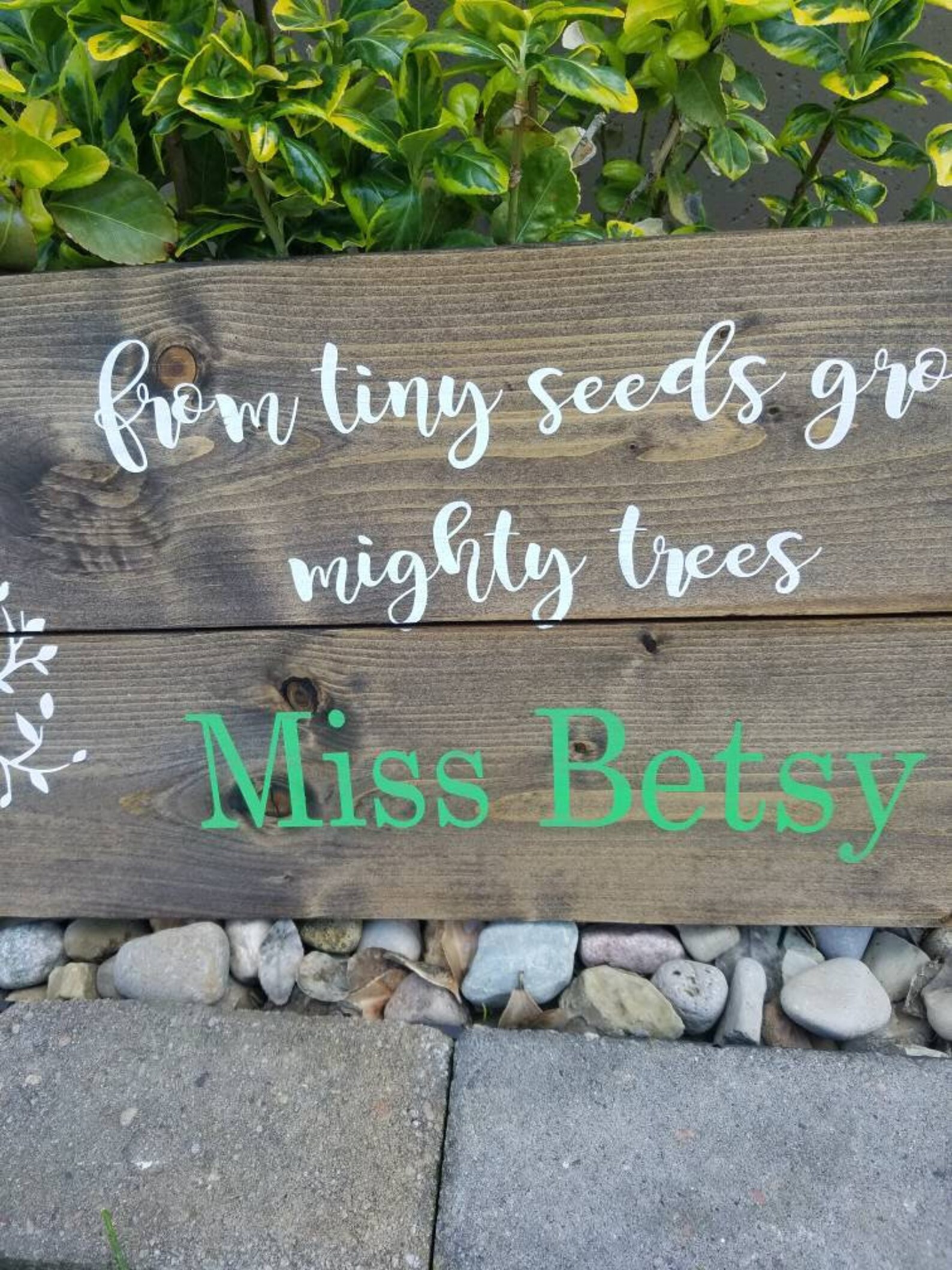 From Tiny Seeds Grow Mighty Trees|teacher Gift|personalized Teacher ...