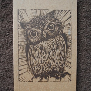 May include: A brown and black owl illustration on a brown paper background. The owl is looking directly at the viewer with large, round eyes.