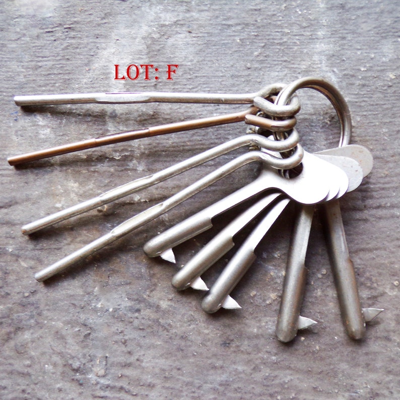 May include: A set of eight keys, including one copper-colored key, on a gray surface. The keys are arranged in a fan shape with the copper key at the top. The text "LOT: F" is visible in the top center of the image.