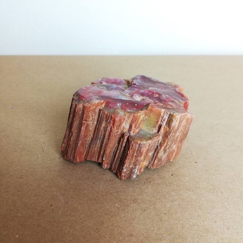 May include: A piece of petrified wood with a reddish-brown color and a natural, rough texture. The wood has a layered, striated pattern and a few areas of a lighter, almost translucent, reddish-purple color.