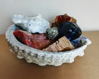 Genuine Crystal Kit - Mineral Specimens - Abalone Shell - Slag Glass - Raw Pyrite - Petrified Wood - Unique Birthday Gift - Eco Friendly