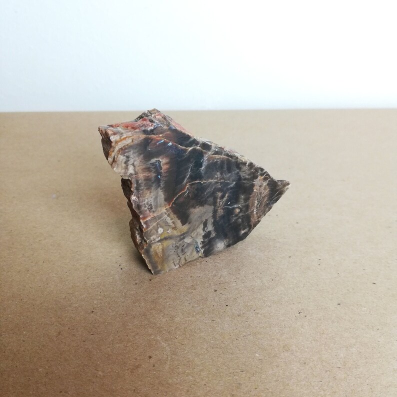 May include: A piece of petrified wood with a brown, black, and red color pattern. The wood has a rough, textured surface.