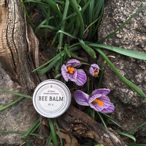 Puede incluir: Una pequeña lata plateada con las palabras "Bee Balm" impresas en ella. La lata está sentada sobre una cama de hierba verde y flores moradas.