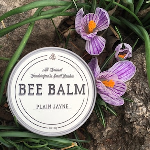 Bálsamo de abeja ~ ungüento para el cuidado de la piel multiusos, elaborado en pequeños lotes.