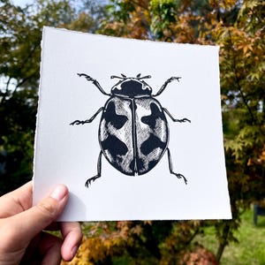 Stampa linoleografica Coccinella / A5