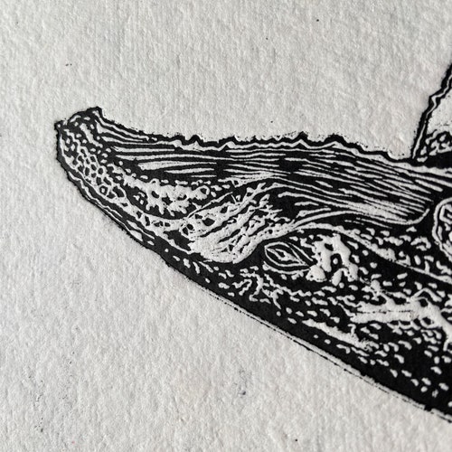 Handmade Whale Breach Linocut print in black + buy gold (unframed), printed on white + blue recycled handmade paper. Perfect for home Decor