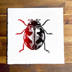 Coccinella in rosso e nero Linoleografia / A5