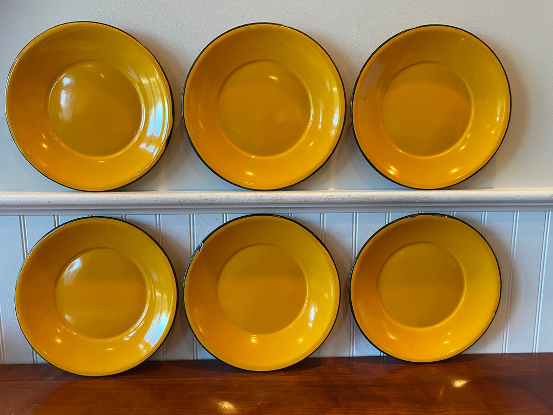 Vintage Enamel Dishes Vintage Dinner Plate 9 1/2 Inch Enamel Etsy