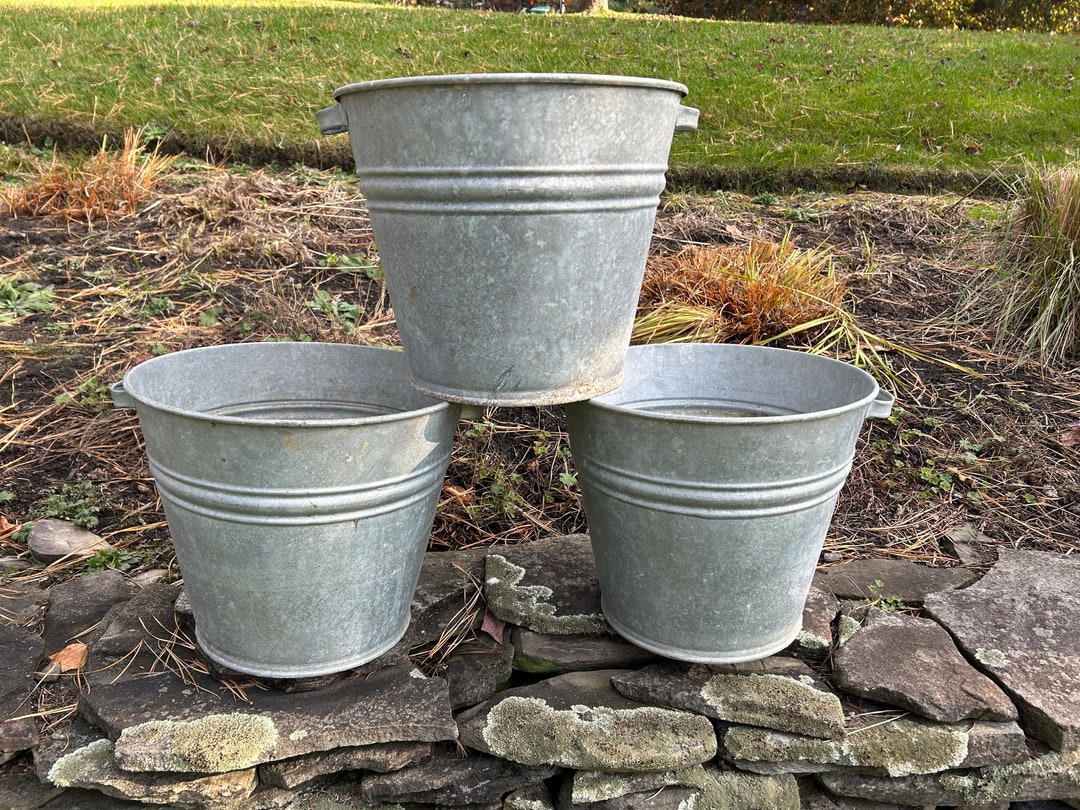 Vintage Galvanized Buckets Vintage Galvanized Bucket With Two Handles