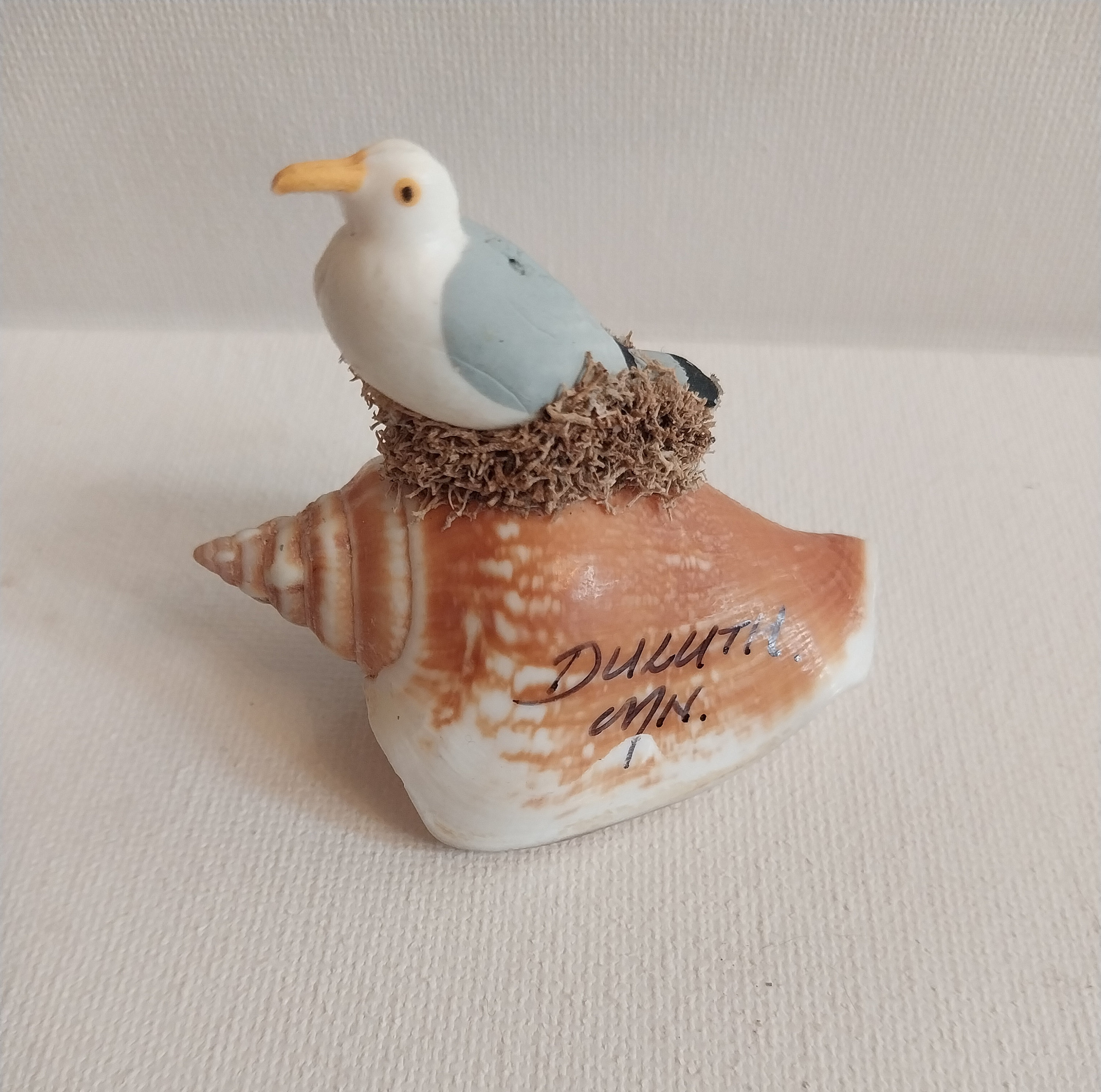 Seagull on Shell - Etsy
