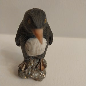 Penguin On Crushed Rock