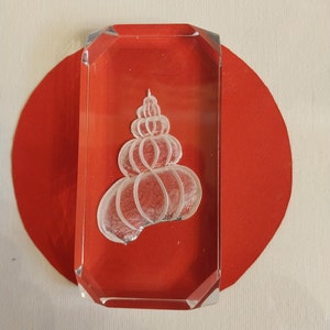 Seashell Paperweight
