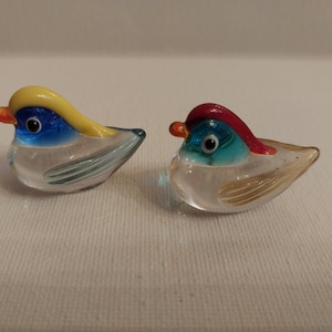 Pair Of Mini Colorful Birds