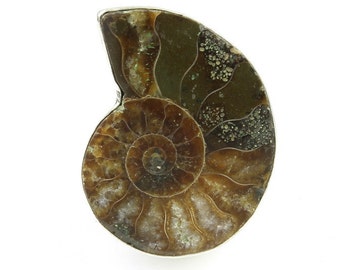 Anello fossile di ammonite, Anello di ammonite in argento sterling, Conchiglia Nautilus, Nautico, Anello di pietre preziose, Gioielli Boho, Zingaro, Gioielli Hippie