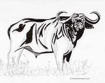 African Buffalo - Big Five of Africa - Open Edition print from original Indian Ink artwork