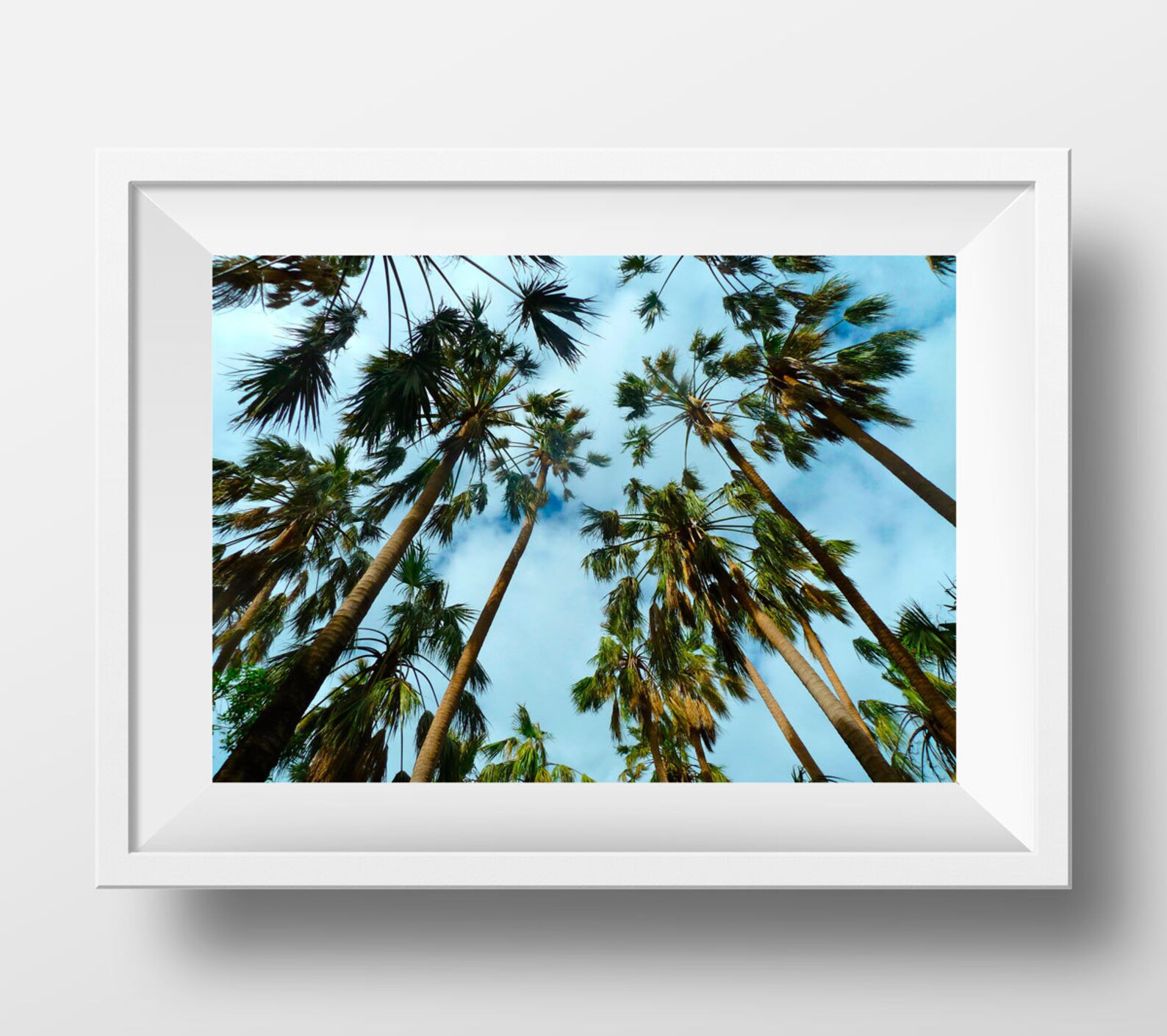 Palm tree wall art palm tree decor tropical wall art Etsy