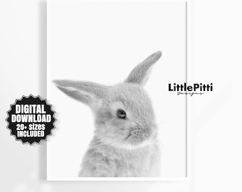 Baby rabbit animal, baby bunny rabbit, nursery printable, kids room decor, rabbit photography, black and white animal print, woodland animal