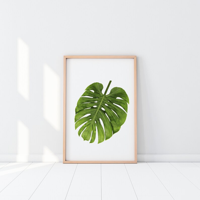 Monstera leaf tropical decor tropical leaf print green ...