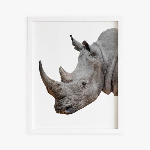 Rhino Print Rhino Watercolor print African Decor Gift Her African Gift Rhino Art Print Rhino Gift Idea Safari Animals African Art