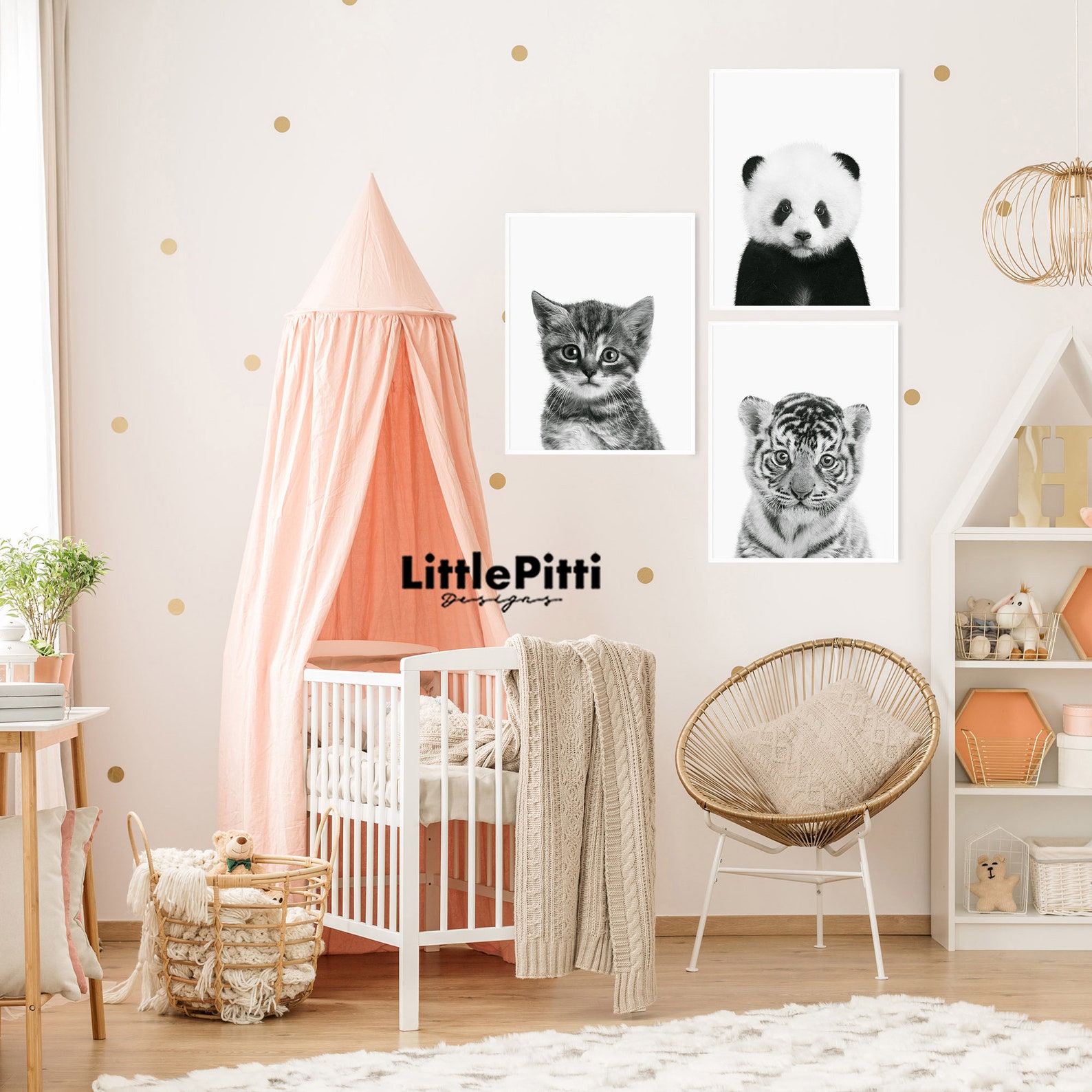 Kitten Print Nursery Baby Animal Decor Cat Photo Cute Etsy