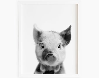 Piggy print, cute farm animal, baby pig photo, black white nursery decor, farmhouse decor, nursery farm animal wall art, instant download