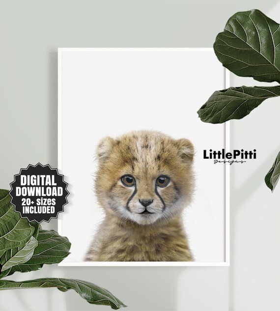 Baby Cheetah Print Safari Nursery Decor Kids Room Decor Etsy