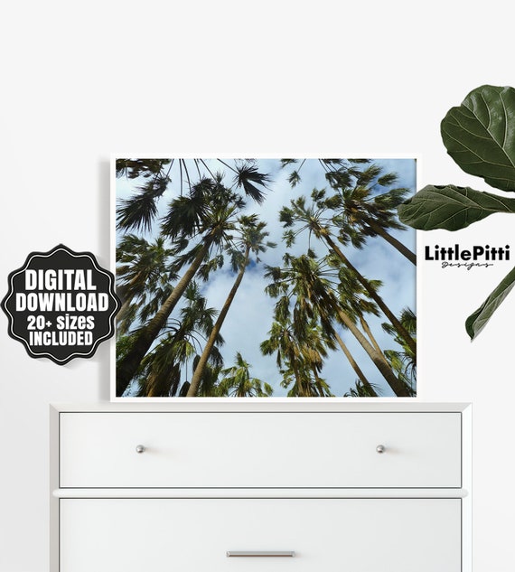Palm tree wall art palm tree decor tropical wall art Etsy