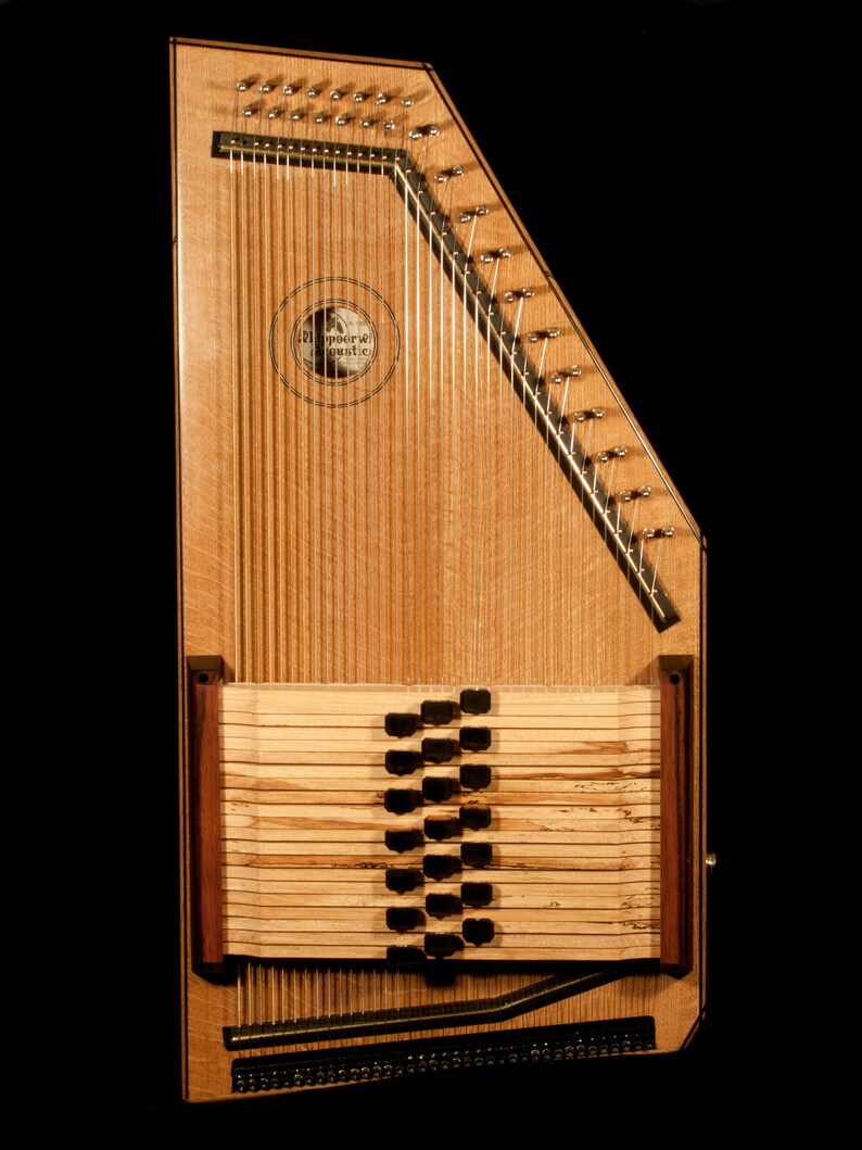 Custom Autoharp Etsy