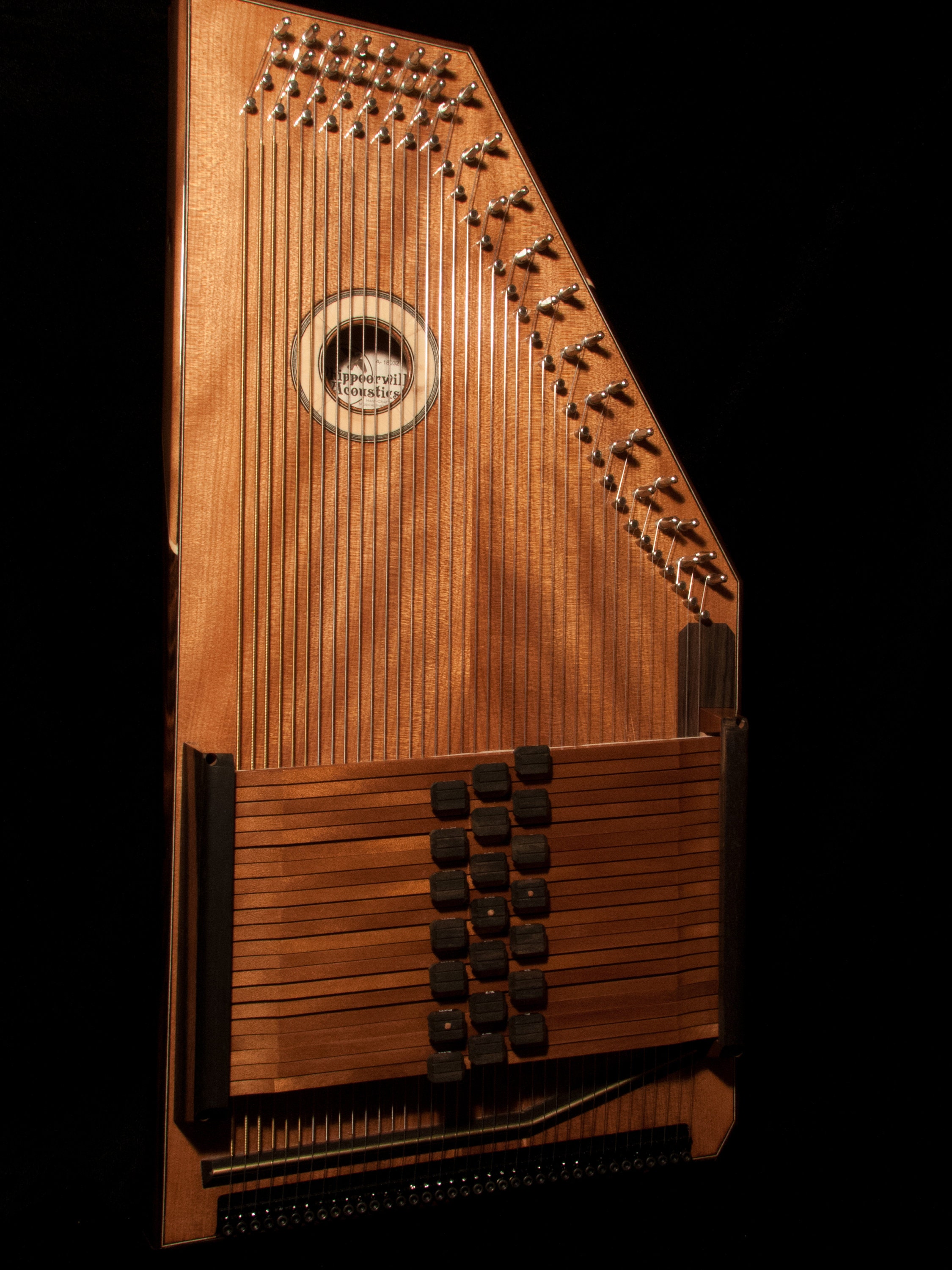 Custom Autoharp Etsy