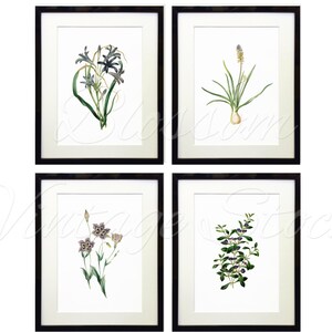 Botanical Printable Set Blue Flowers Prints INSTANT DOWNLOAD Digital ...