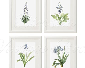 Botanical Printable Set Flower Botanical INSTANT DOWNLOAD Digital Images Vintage Illustrations for Print 5x7, 8x10, 11x14 Included - 1279