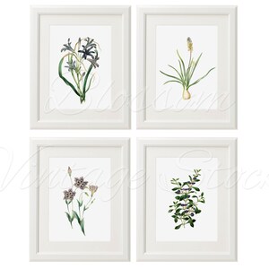 Botanical Printable Set Blue Flowers Prints INSTANT DOWNLOAD Digital ...
