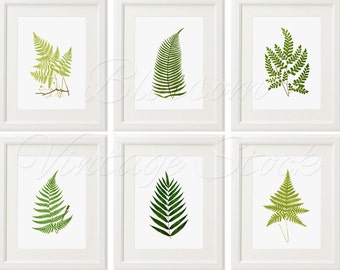 Printable Wall Art Botanical set of 6 Leaves Illustrations Nature Wall Decor, Instant download Art, Green Gallery Decor - 1530