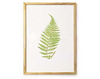 Botanical Printable Fern Foliage Botanical Leaf Print | Etsy