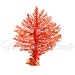 Sea Coral Printable Wall Decor Sea Fan Coral Clipart, Digital Image ...