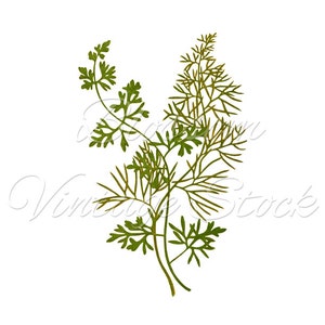 Vintage Botanical Print Vintage Botanical Leaves Wall decor | Etsy