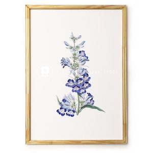 Blue Flower Botanical Printable Art Blue Vintage Digital Image Antique ...