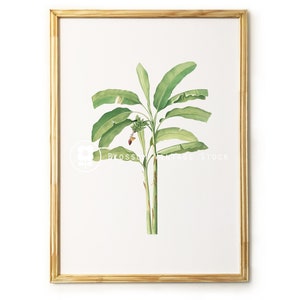 Banana tree Print Wall art Vintage banana illustration, Banana Leaves Wall decor, Botanical Wall art INSTANT DOWNLOAD - 1073