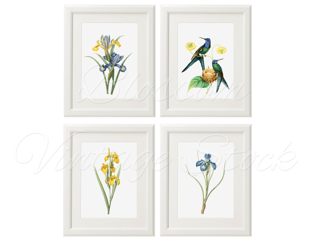 Botanical Printable Set Blue Botanical Set INSTANT DOWNLOAD - Etsy